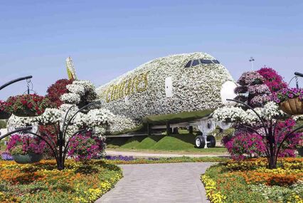 Miracle Garden