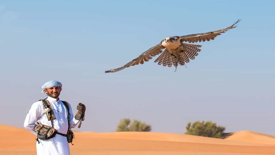 Arab man doing a traditional Falconry display