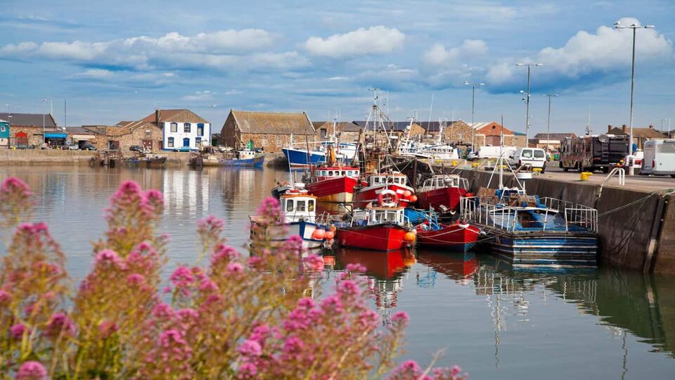 Landscape photo of a small fishing village marina with fishing boats