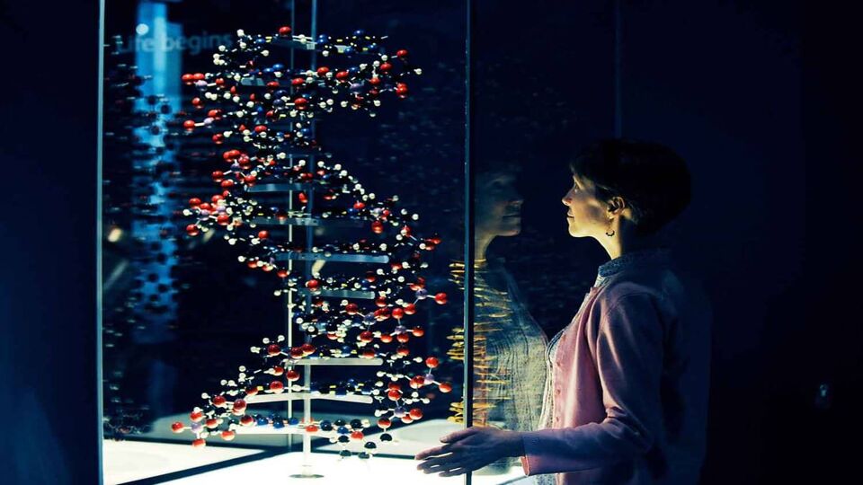Woman in dimly-lit room starting at a large exhibit of DNA sequencing in a glass case