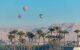 Hot air balloons floating over palm trees in Luxor