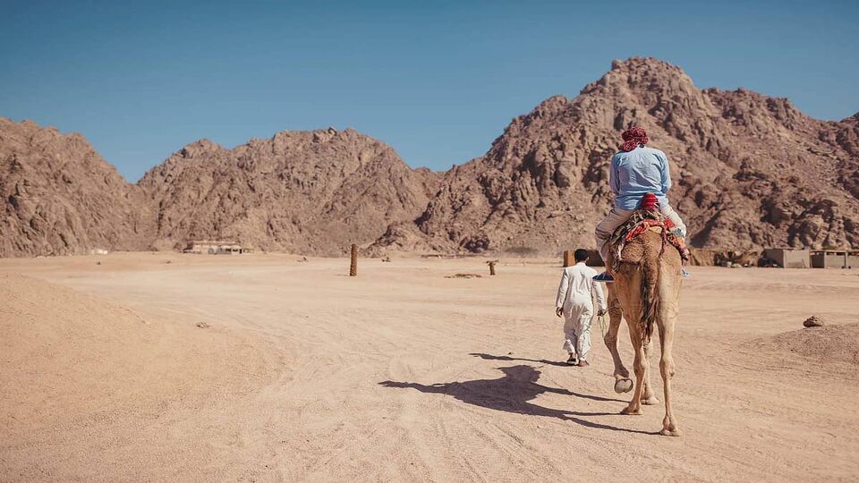 Traveler man rides a camel in desert by Sinai mountains. Boy bedouin guiding animal. Summer vacation in Egypt