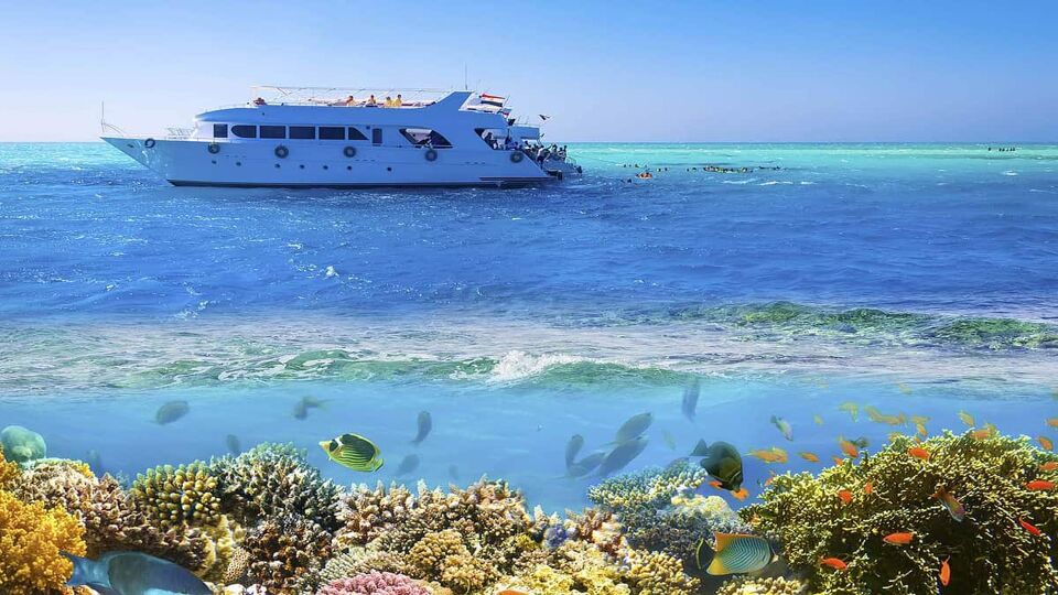 Sail boat ship with tourists in Ras Mohamed National Park in the Red Sea, Sharm El Sheikh, Egypt. Collage with coral reef and fishes.