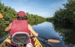 Canoeing through the Everglades swamp in Florida, USA
