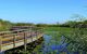 The Anhinga Trail, Everglades National Park