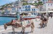 he harbor on May 30, 2009 in Hydra. Hydra is a Greek island in the Aegean sea. Motor vehicles are not allowed on the island and donkeys are the main means of transportation.