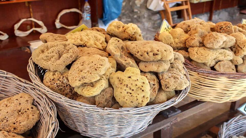 Natural bath sponges at local market. Symi Island in Greece