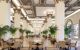 Seating area with intricate ceiling, and colonnades footed with plants