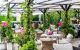 Vibrant outdoor seating area with green leaves and pink flowers