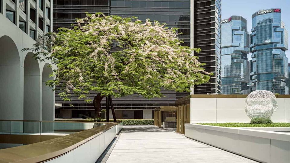 Verdant tree and transparent sculpture that decorate the hotel exterior