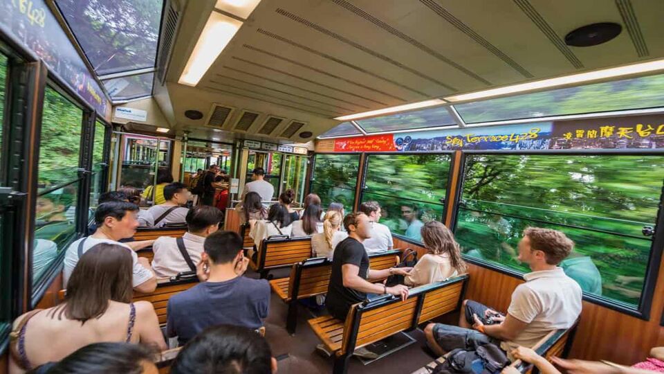 Passengers on the funicular train travelling up to the peak; outside of the train they are surrounded by vibrant greenery