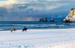two riders on Icelandic horses crosses a snowy beach landscape
