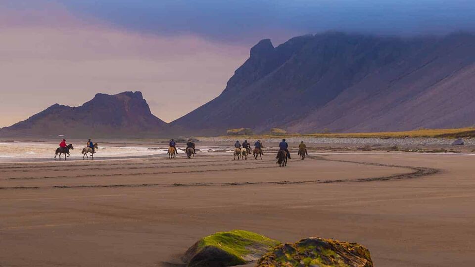 riders on Icelandic horses on deserted beach