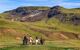 tour group riding Icelandic horses in Iceland landscape