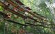 nesting boxes in Bird Park, Iguazu Falls