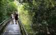 Couple walking in rainforest in a boardwalk in iguazu falls