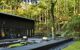 Patio area beside cabin in mossy forest