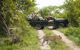 tourists sitting in game vehicles watching a leopard cross the road