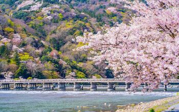 bridge across water through a blossom-filled valley