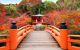 Fushimi shrine bridge leading to a lovely Japanese garden