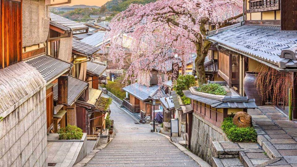 Walkway down steps into town during blossom season