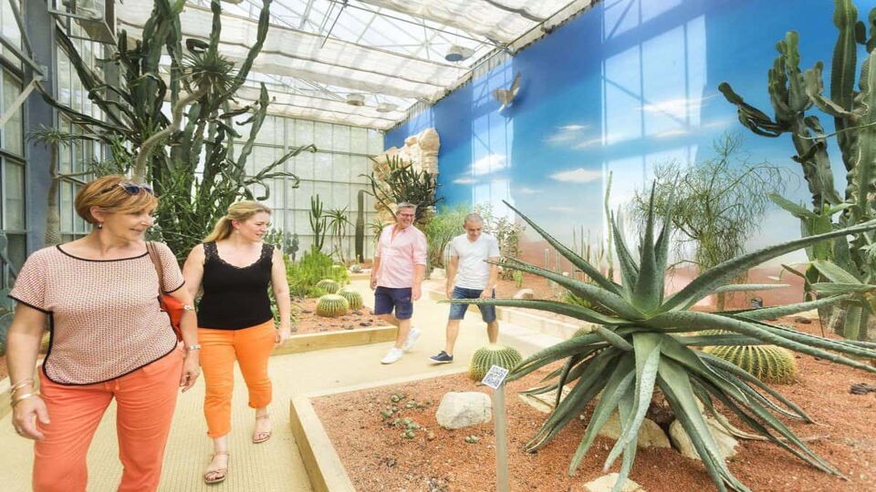 Visitors to botanical garden looking at desert cactuses
