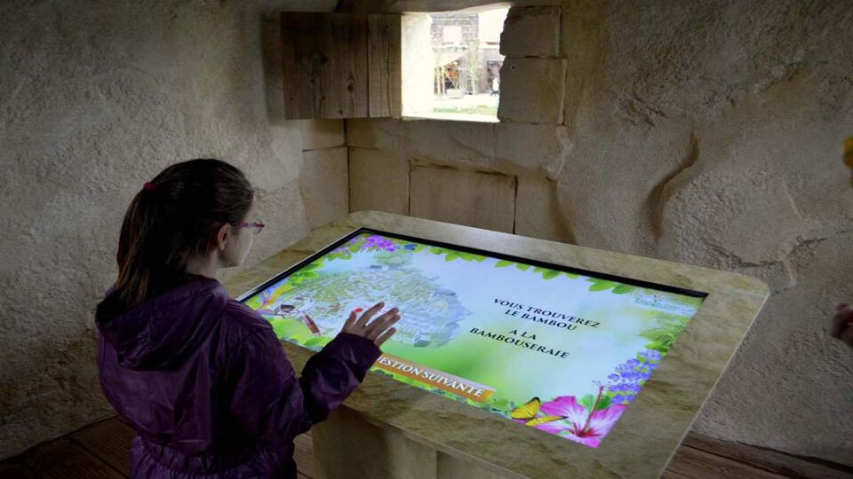 Woman using interactive screen in exhibit