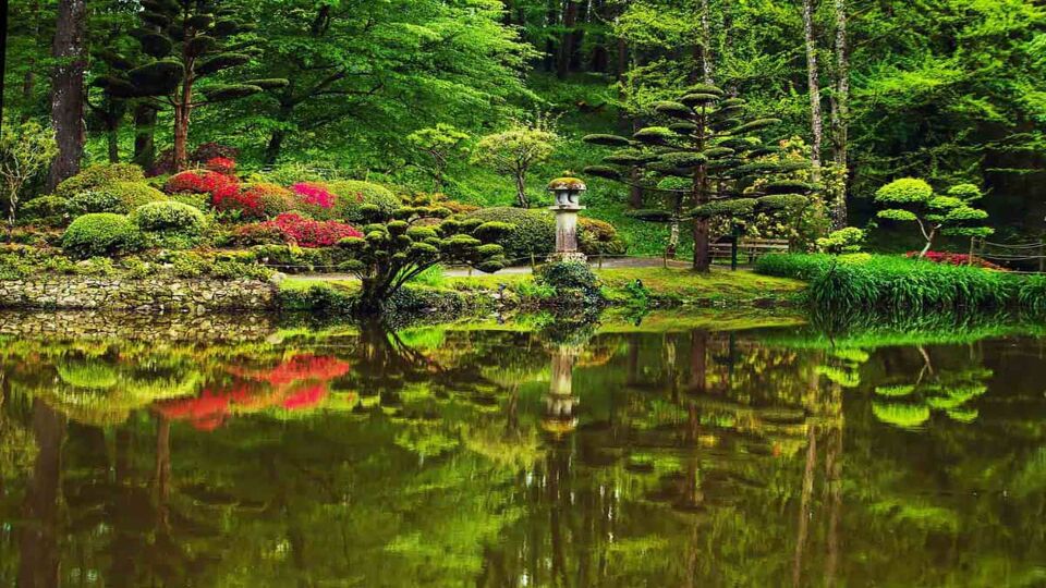 Japanese maples on banks of reflective pond