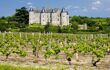 A vineyard in foreground, a picturesque small chateau in background
