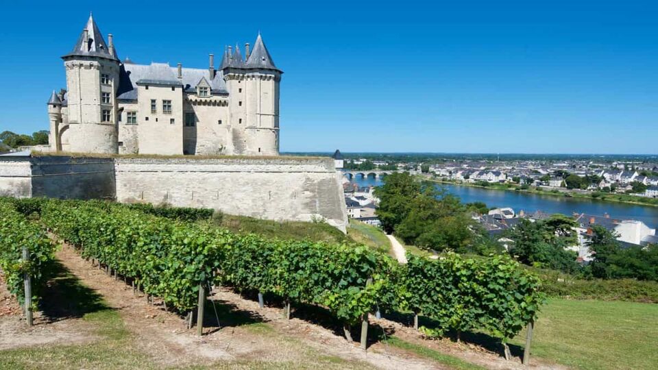 Saumur Castle exterior with some vines in the foreground
