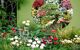 Man working on a small garden full of flowers, with a large bonsai tree in the middle