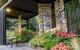 View of a small flower bed with lots of flowers beneath an awning