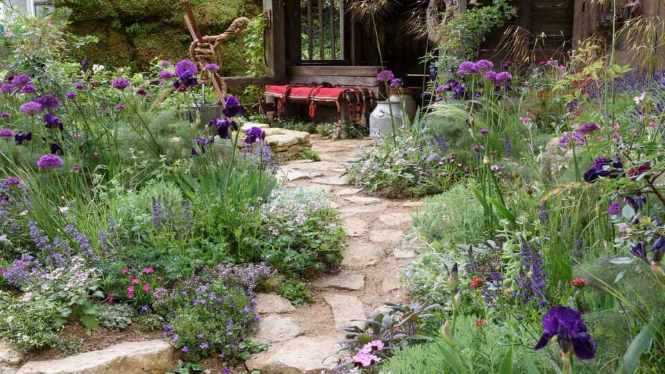 Pathway through colourful flowers and shrubs to a small shed