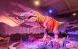 An exhibit of the infamous Tyrannosaurus Rex