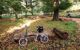 Folding bicycle leaning against a log during the daytime