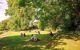 People enjoying the summertime in the park