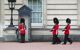 The royal guards marching around the palace in the daytime