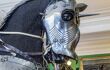 close up of horse armour in the Wallace Collection Museum