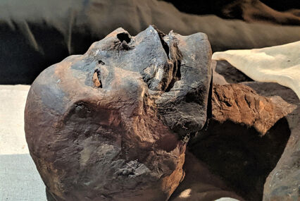 Close up of a mummy's face in the mummificaiton museum
