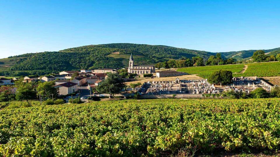 A small village of stone houses, with Beaujolais vineyard in foreground