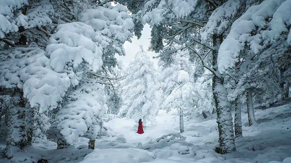 A photo of a woman wearing a red cloak, facing away from the camera, in a snow-covered forest
