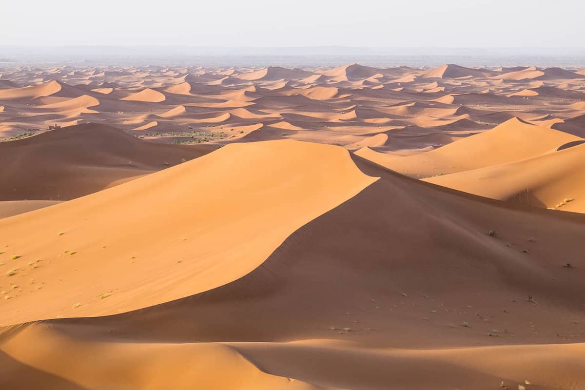 Sand dune in the Sahara desert