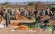 Customers peruse a fruit and vegetable market