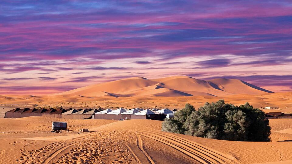 Campground in the Sahara desert