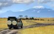 game vehicle driving along a path through savannah