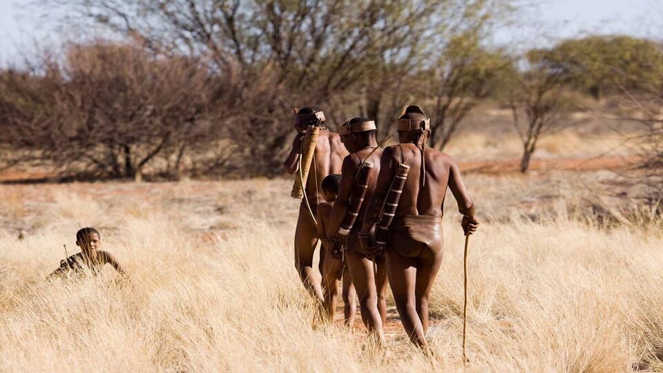 three bushman men walking on foot through grassland