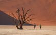 Two figures walking beside a large dead tree on a flat sand base in Deadvlei