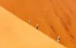 A family climbing the red sand dunes in Sossusvlei, tiny figures half way up