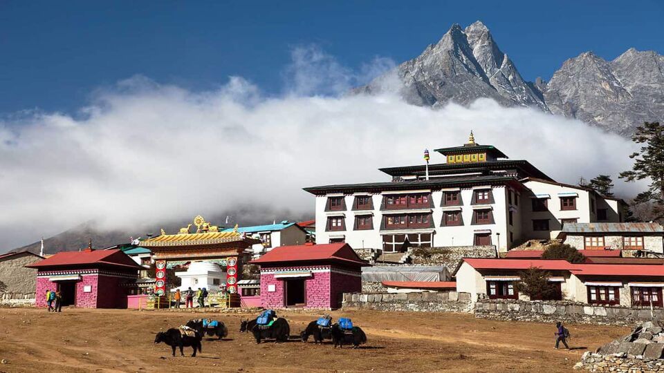 Tengboche Monastery, the best monastery in Khumbu valley and yaks, trek to Everest base camp, Sagarmatha national park, Solukhumbu, Nepal Himalayas