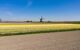 Yellow field with soil in daytime